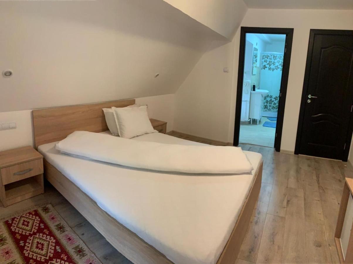 Hotel M Dey Vişeu de Sus Zewnętrze zdjęcie