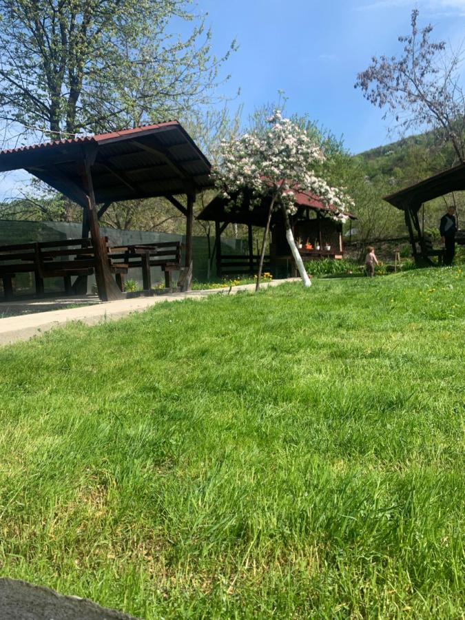 Hotel M Dey Vişeu de Sus Zewnętrze zdjęcie