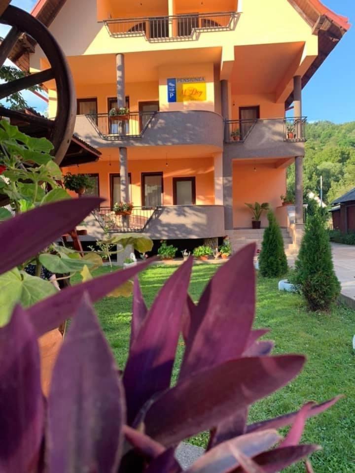Hotel M Dey Vişeu de Sus Zewnętrze zdjęcie