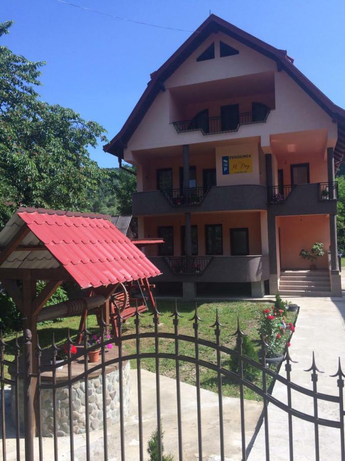 Hotel M Dey Vişeu de Sus Zewnętrze zdjęcie